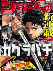 海贼王漫画番外篇